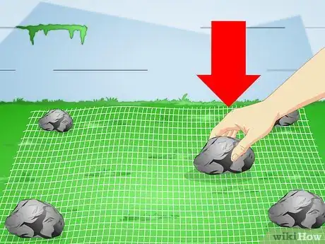 Image intitulée Make a Puppy Stop Digging Step 13