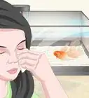 savoir si son poisson rouge est en train de mourir