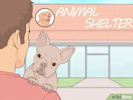 Image intitulée Give Away Your Dog when You Don't Want To Step 8