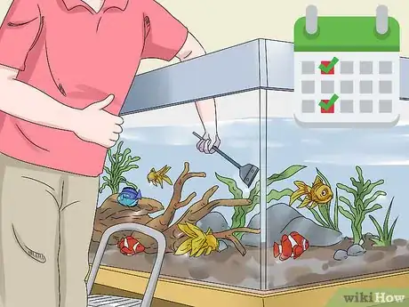 Image intitulée Lower the pH in an Aquarium Step 12