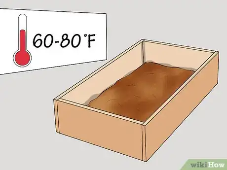 Image intitulée Make a Worm Bed Step 17