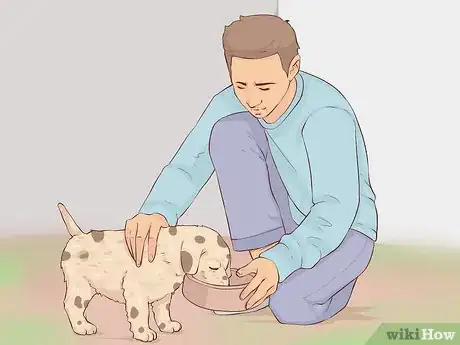 Image intitulée Give Away Your Dog when You Don't Want To Step 9