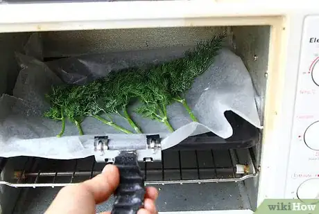 Image intitulée Dry Dill Step 15