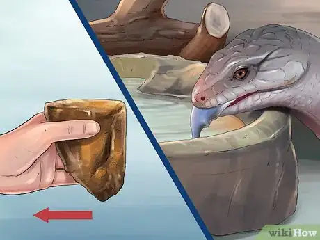 Image intitulée Care for a Skink Step 9
