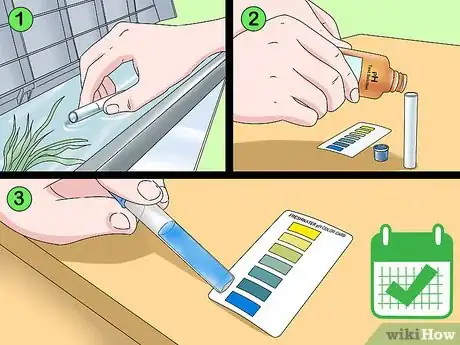 Image intitulée Lower the pH in an Aquarium Step 15
