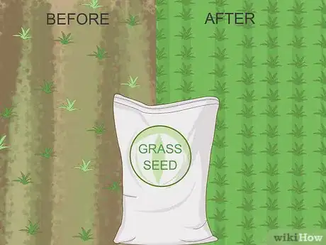 Image intitulée Get Green Grass Step 6