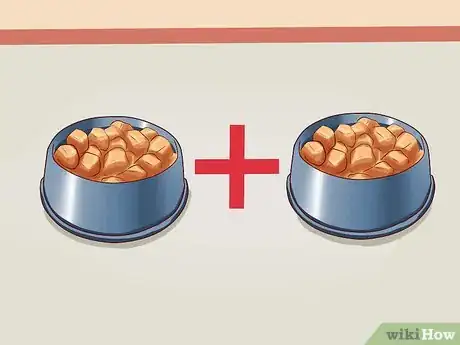 Image intitulée Get Dogs to Gain a Healthy Weight Step 6