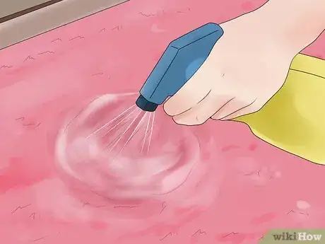 Image intitulée Remove Pet Urine from Carpet Step 3