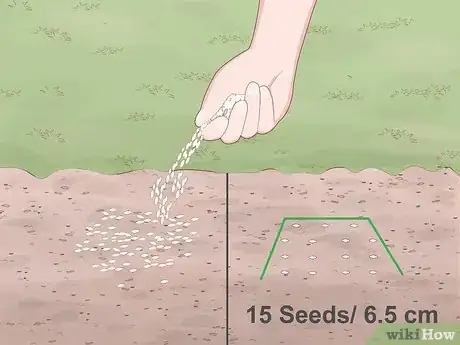 Image intitulée Get Green Grass Step 9