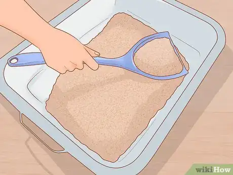 Image intitulée Get Rid of Tapeworms in Your Pets Step 11