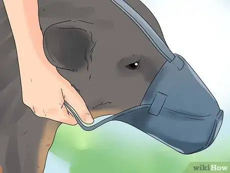 Image intitulée Take a Dog's Temperature Step 6