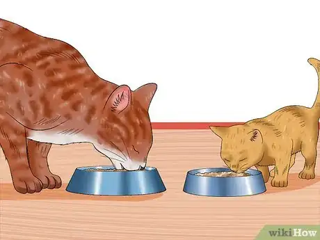 Image intitulée Separate Kittens from a Mother Cat for Adoption Step 26