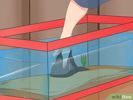 Image intitulée Make Your Fish Live Longer Step 6