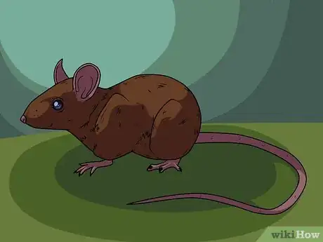 Image intitulée Draw a Mouse Step 15