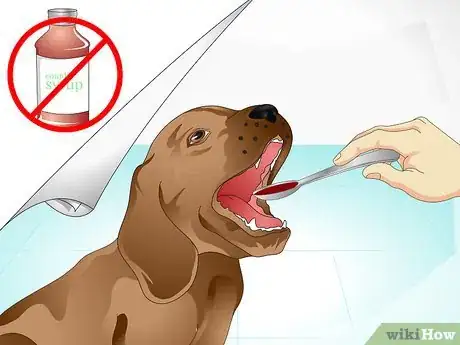 Image intitulée Care for a Sick Dog Step 16