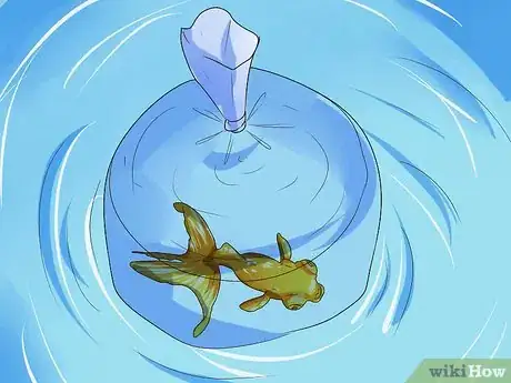 Image intitulée Make Your Fish Live Longer Step 12