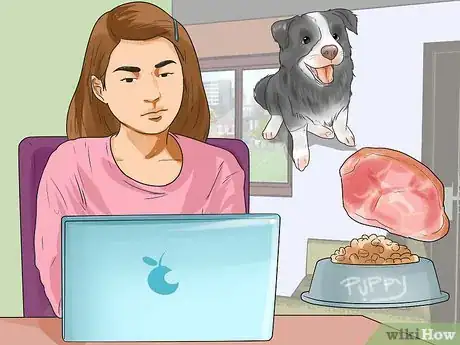 Image intitulée Feed Puppies Step 1