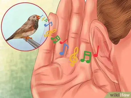Image intitulée Raise Zebra Finches Step 9