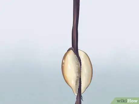 Image intitulée Put Cowrie Shells on Dreads Step 4