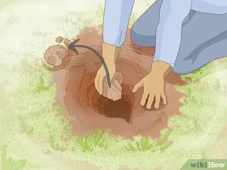 Image intitulée Get Rid of Nutgrass Step 8