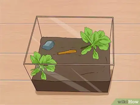 Image intitulée Care for Slugs Step 2
