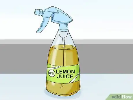 Image intitulée Dye over a Dark Hair Dye Step 3