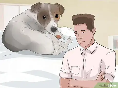 Image intitulée Encourage Your Dog to Sleep in Your Bed Step 5