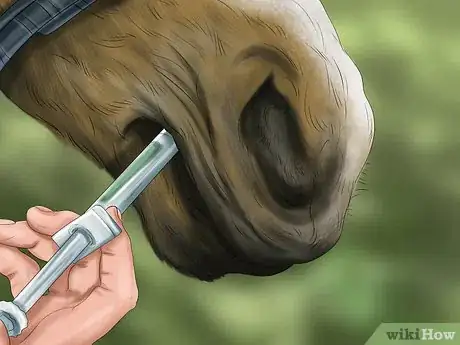 Image intitulée Cool a Horse Step 15