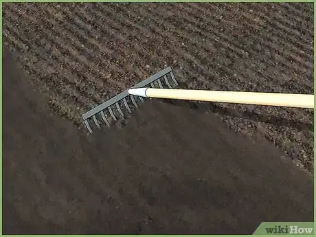Image intitulée Plant a Seed Step 11