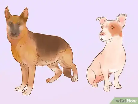 Image intitulée Choose a Dog Step 11