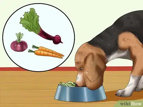 Image intitulée Treat Dog Worms With Food and Herbs Step 15
