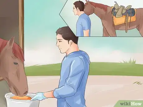 Image intitulée Treat Stomach Ulcers in Horses Step 6