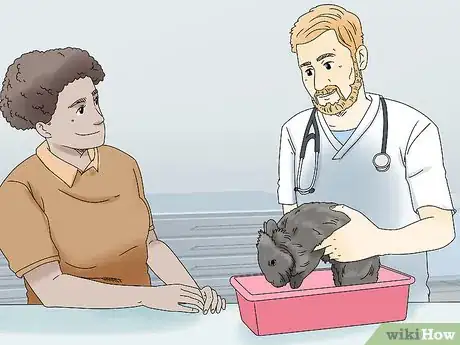 Image intitulée Care for Lionhead Rabbits Step 12