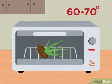 Image intitulée Measure Growth Rate of Plants Step 18
