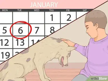 Image intitulée Give Away Your Dog when You Don't Want To Step 7