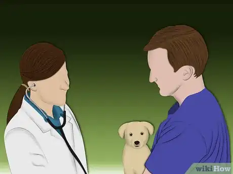 Image intitulée Treat Allergic Dermatitis in Dogs Step 2