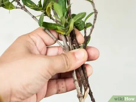 Image intitulée Make Floral Craft Arrangements Step 8