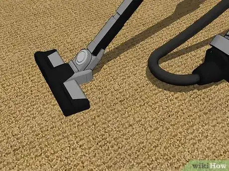 Image intitulée Clean a Jute Rug Step 2