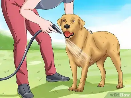 Image intitulée Bathe a Dog and Keep It Calm Step 19