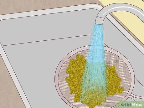 Image intitulée Grow Lentils Step 2