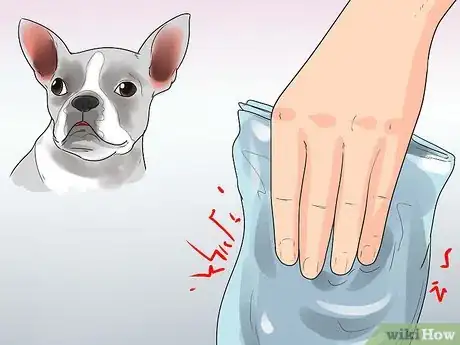 Image intitulée Rehabilitate an Overly Shy Dog Step 9