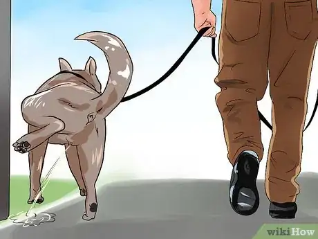 Image intitulée Train a Dog to Pee Outside Step 2