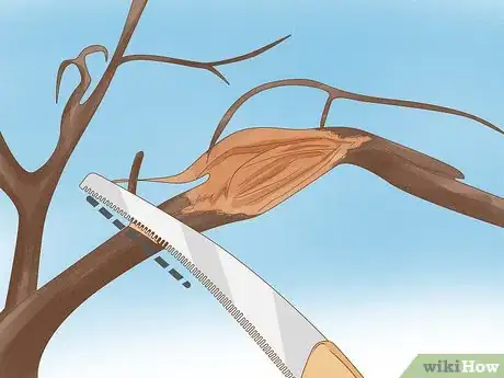Image intitulée Prune a Weeping Willow Tree Step 10