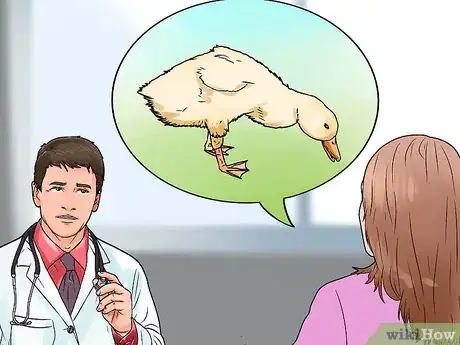 Image intitulée Care for a Pet Duck Step 17