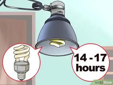 Image intitulée Care for a Pet Duck Step 13