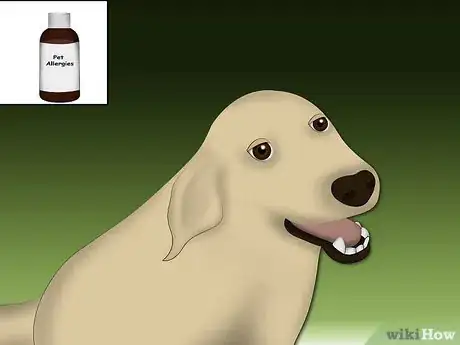 Image intitulée Treat Allergic Dermatitis in Dogs Step 6