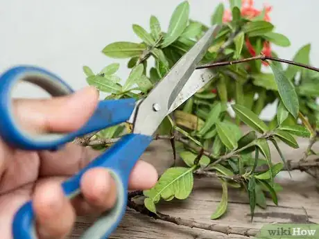 Image intitulée Make Floral Craft Arrangements Step 7