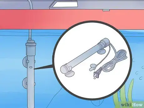 Image intitulée Make Your Fish Live Longer Step 2