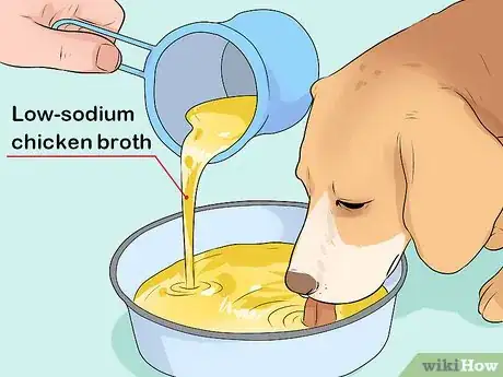 Image intitulée Treat a Dog with a Cold Step 4