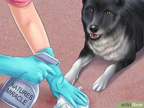 Image intitulée Get Rid of Dog Urine Smell Step 6
